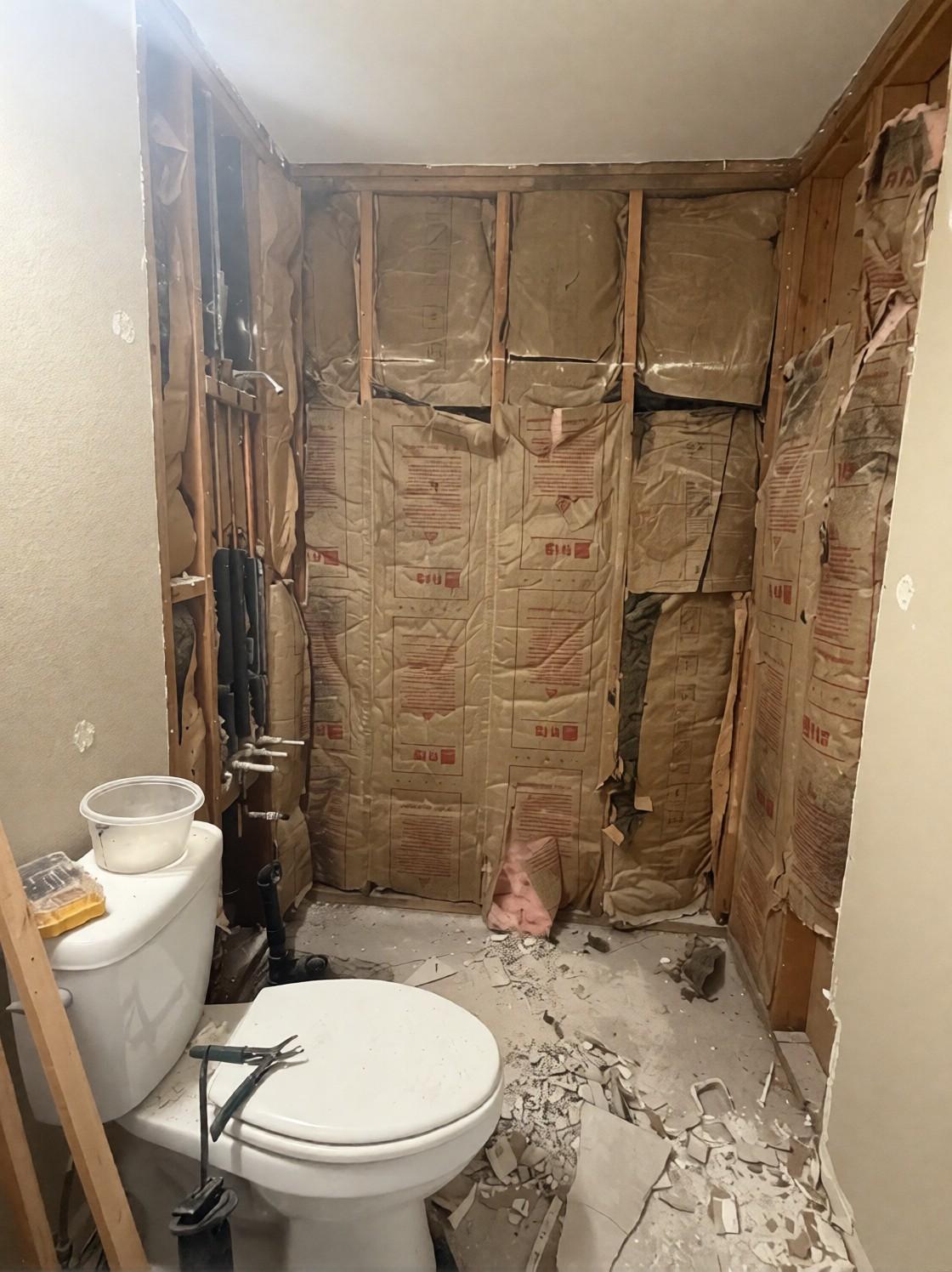 Demolition: the tub and walls taken down to the studs